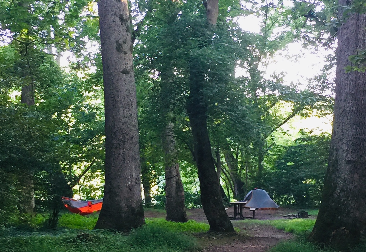 Big Woods Hiker Biker Campsite