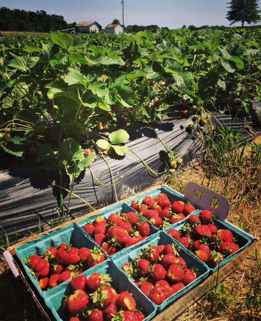 Orr's Farm Market